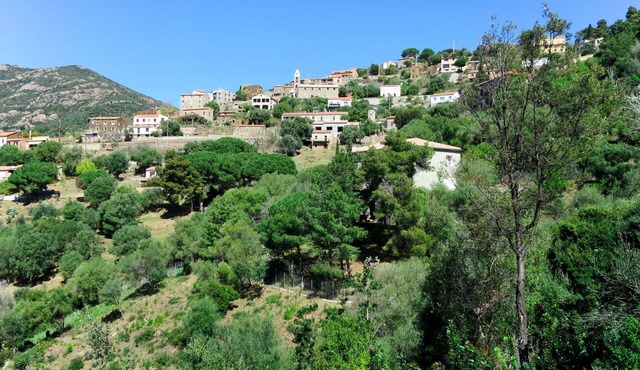 Nice apartment for 4 people with WIFI, A/C, TV, patio, pets allowed and panoramic view