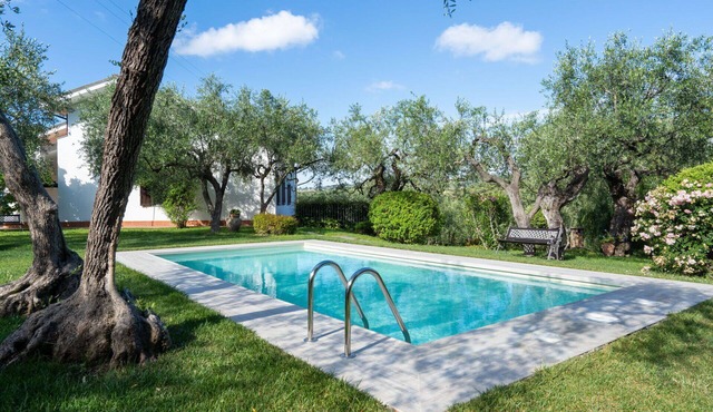 Nice apartment in villa with A/C, WIFI, pool, TV, patio, pets allowed and panoramic view