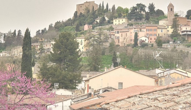 Nice apartment with independent entrance at the foot of Bertinoro