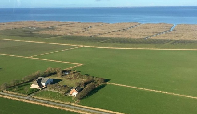 Nice, bright apartment right on the North Sea coast
