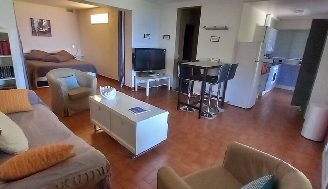 Nice flat 53m² air-cond garden WIFI swimmig pool tennis private pkg sea view
