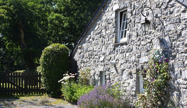 Nice gite with low ceilings in Han-sur-Lesse near a forest