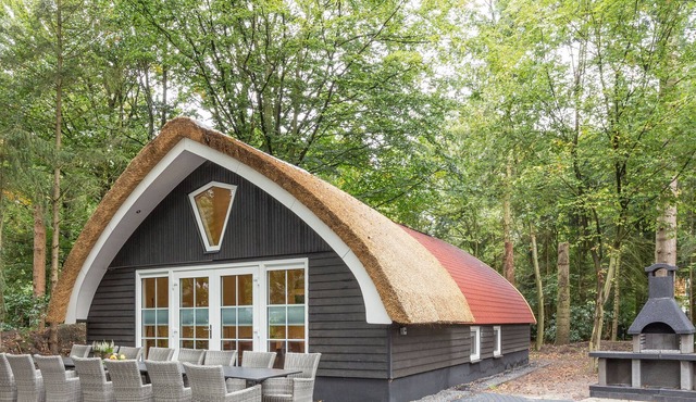 Nice group accommodation with BBQ in Overijssel