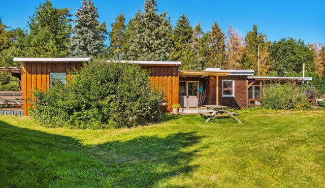 Nice home in Zeulenroda-Triebes with sauna