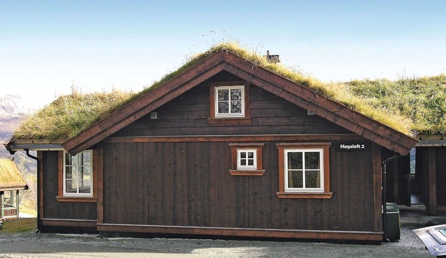 Nice home in Hemsedal with sauna
