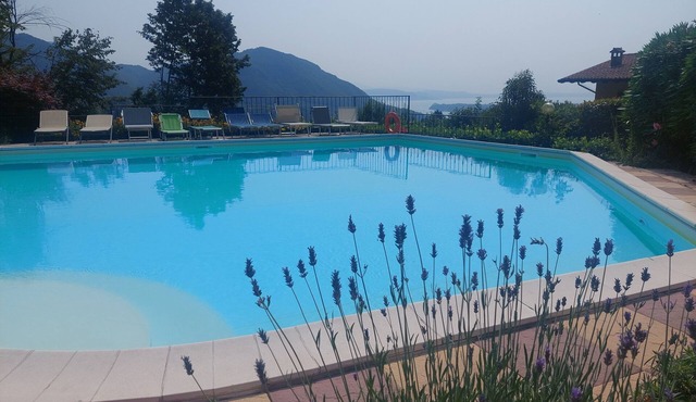 Nice little apartment in residence with swimming pool