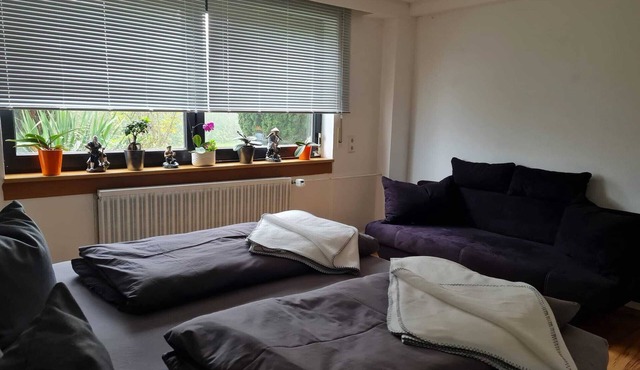 Nice quiet apartment with parking. Pet friendly!