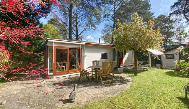 Nice (sta)caravan in Bennekom with WiFi