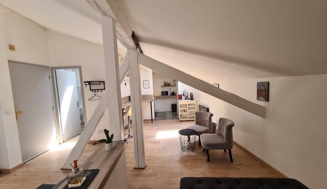 Nice studio under the roof ideal for 2 in Toulouse