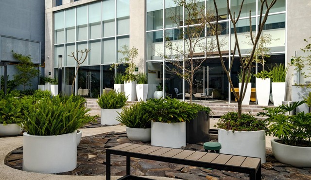 Nido GDL