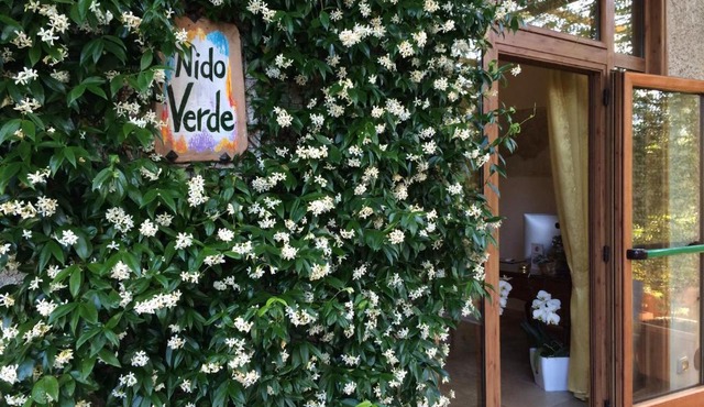 Nido Verde