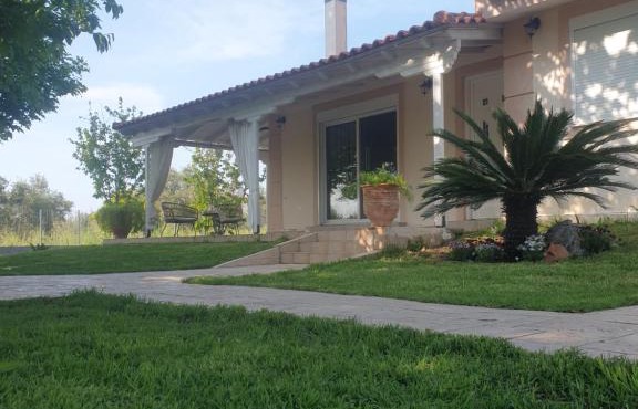Nikolas home