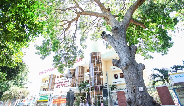 Ninh Thuan Hotel