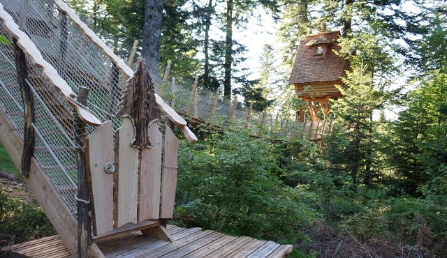 Nis dau Sapi tree house