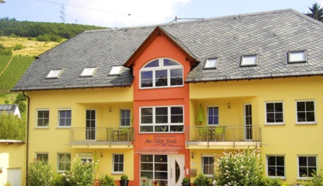 No. 2 4-bed apartment handicapped accessible - Ferienresidenz Am Feller Bach