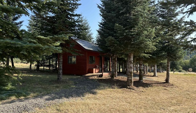 Noble Forest Cabin