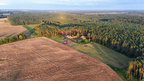 Nocleg na skraju puszczy