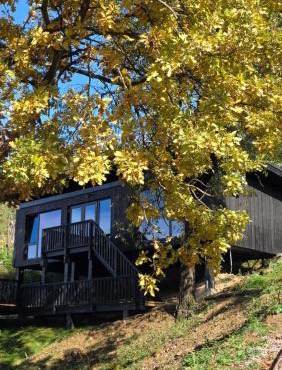 Nomad Hill Cabins