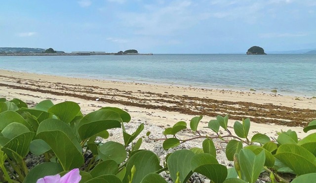 Nonsmoking Multiple nights discountRoom only /Nago Okinawa