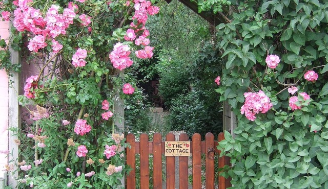 Norfolk, Cosy Beamed Cottage Close Sandy Beaches/Broadland. Peaceful Location.
