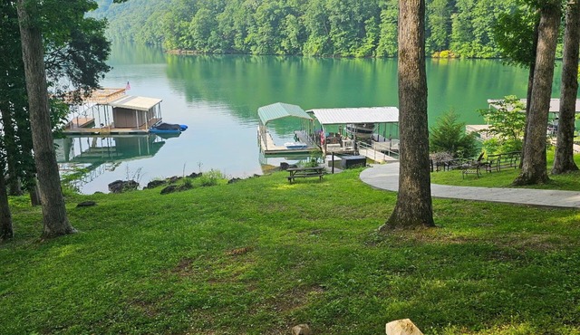 Norris Lake Front Rentals: Cat-Coll Cottage Lovely 2 bedroom w/private dock