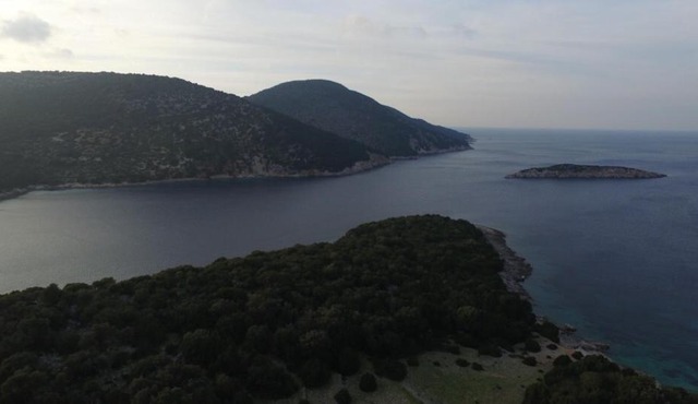North Paradise
