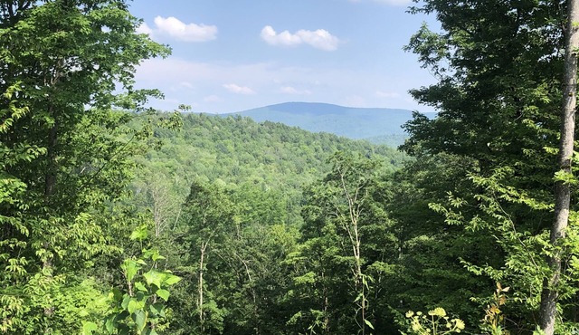Northfield Cabin with View