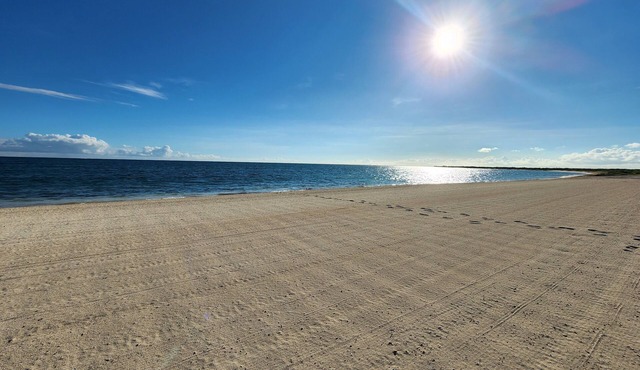 Northwest Nirvana-Gorgeous & serene. New renovation & listing.