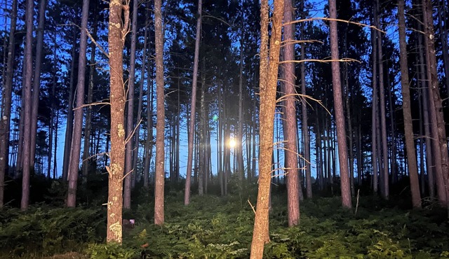 Northwoods Escape! Xtreme Camper Near Bike Trails, Lakes & Pines