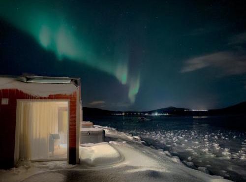 Norwegian Wild