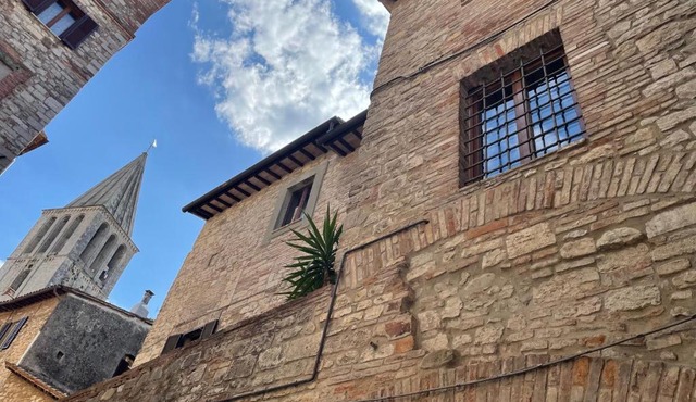 Numero 6