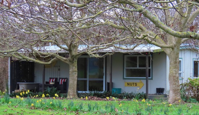 Nut Cottage