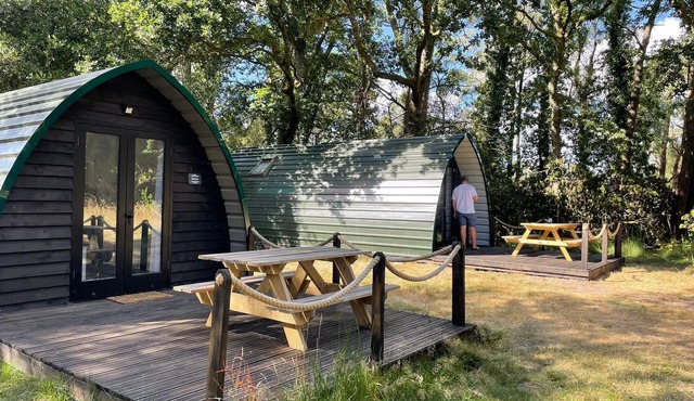 Nuthatch Cabin at Cloudshill Glade