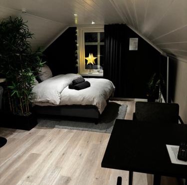 NY og moderne studioleilighet med elbil lading