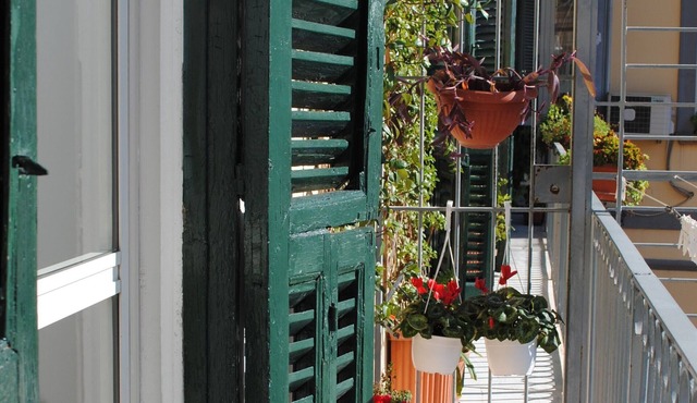 oasis of tranquility in the historic center