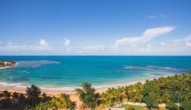 OCEAN FRONT 1BR w/Pool & Parking @ Luquillo BEACH