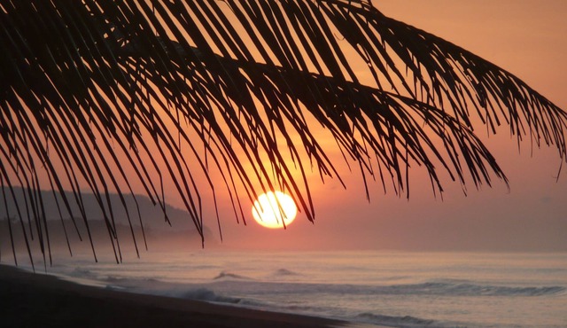 Ocean front beach home, lagoon sunrise, Corcovado sunset, wildlife, kayaks, WIFI