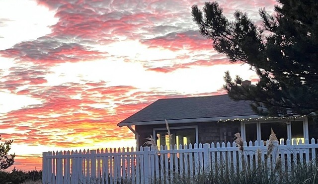 Ocean-front Cedar Cabin, Horse/Dog friendly, Birdwatcher's paradise!