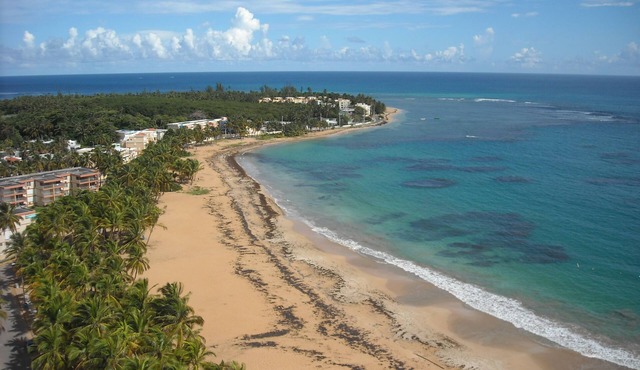 Ocean Front Condo with Spectacular View of the Ocean