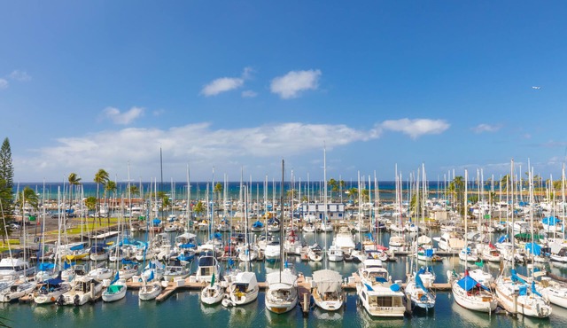 Ocean Front Marina Front Waikiki-Ilikai Marina Pink Plumeria