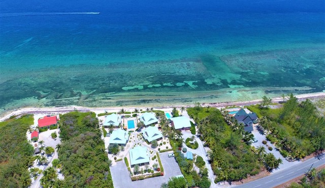 Ocean Paradise