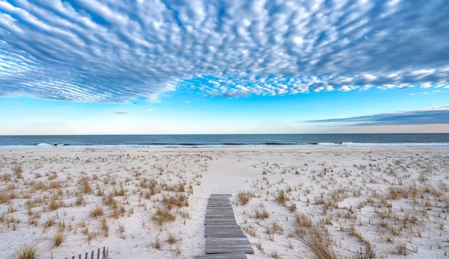 Ocean,pool, boardwalk bay, bed,new kitch,new bath,new furn, steps to ocean