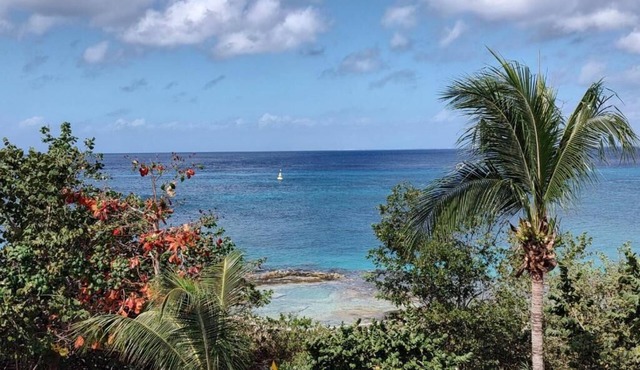 OCEAN VIEW Condo - Cozumel - Incredible Sunsets #A11