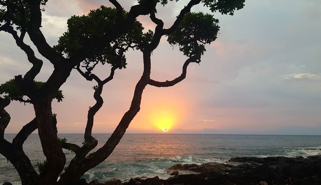 OCEAN VIEW from sofa & Lanai Oceanfront Complex close to town, dining & shopping