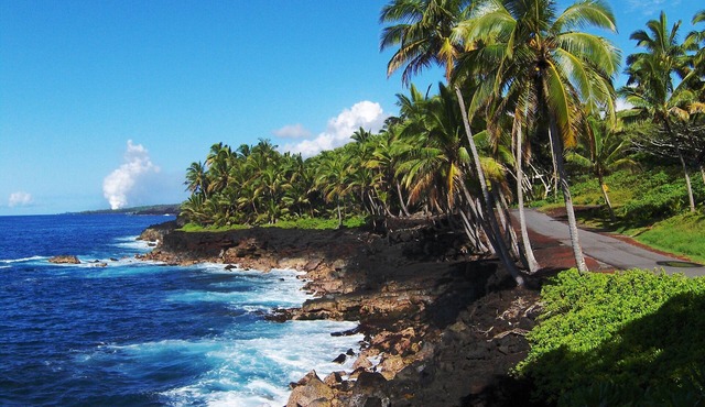 OCEAN View large home close to BEACH on 3 private landscape acres.