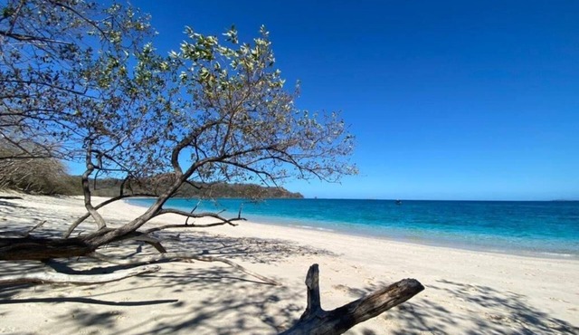 Ocean View Luxury Family Condo Reserva Conchal!