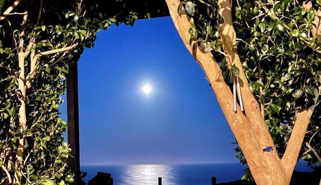 Ocean View - spectacular 180^ view close to Dudley beach,Blowhole and bush walks