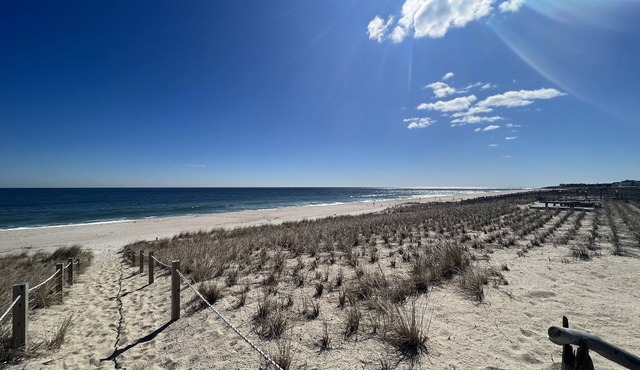 Ocean View Beach Cottage W/Shared "Private" Beach #2