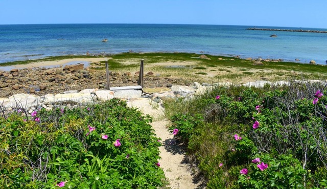 Oceanfront Bayside home with private beach!