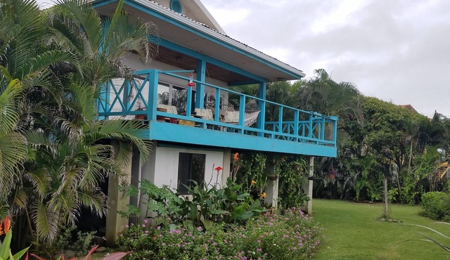Oceanfront Beach Bungalow #4